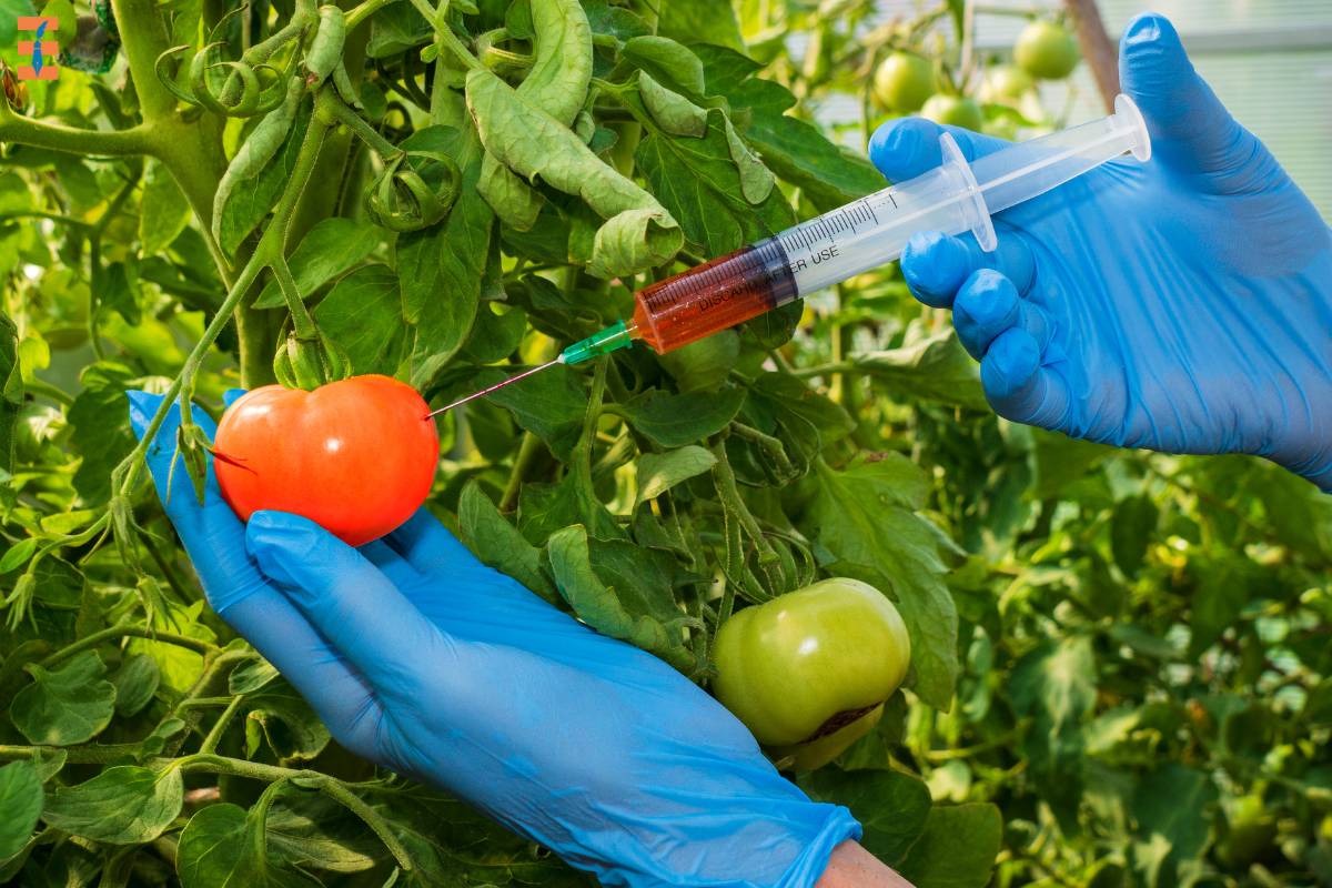 5 Benefits of Transgenic Organisms | Future Education Magazine
