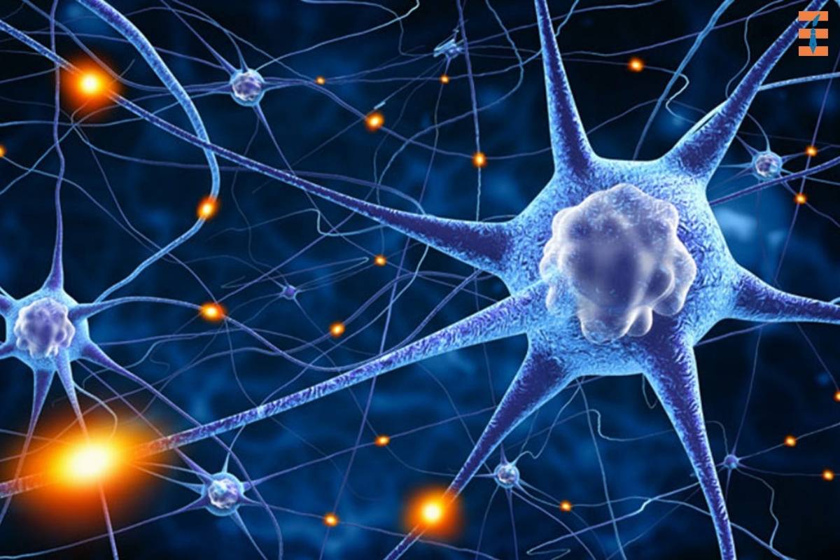 Brain-Based Learning: 5 Important Principles and Strategies | Future Education Magazine