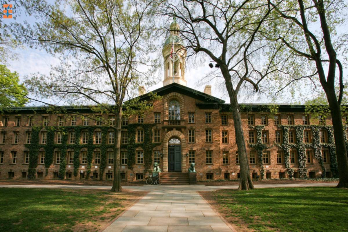 A Guide To Ivy League Schools | Future Education Magazine