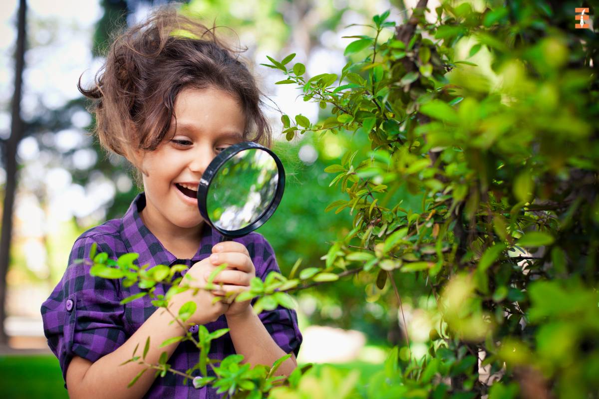 Best 13 Strategies That Foster A Passion For Education | Future Education Magazine