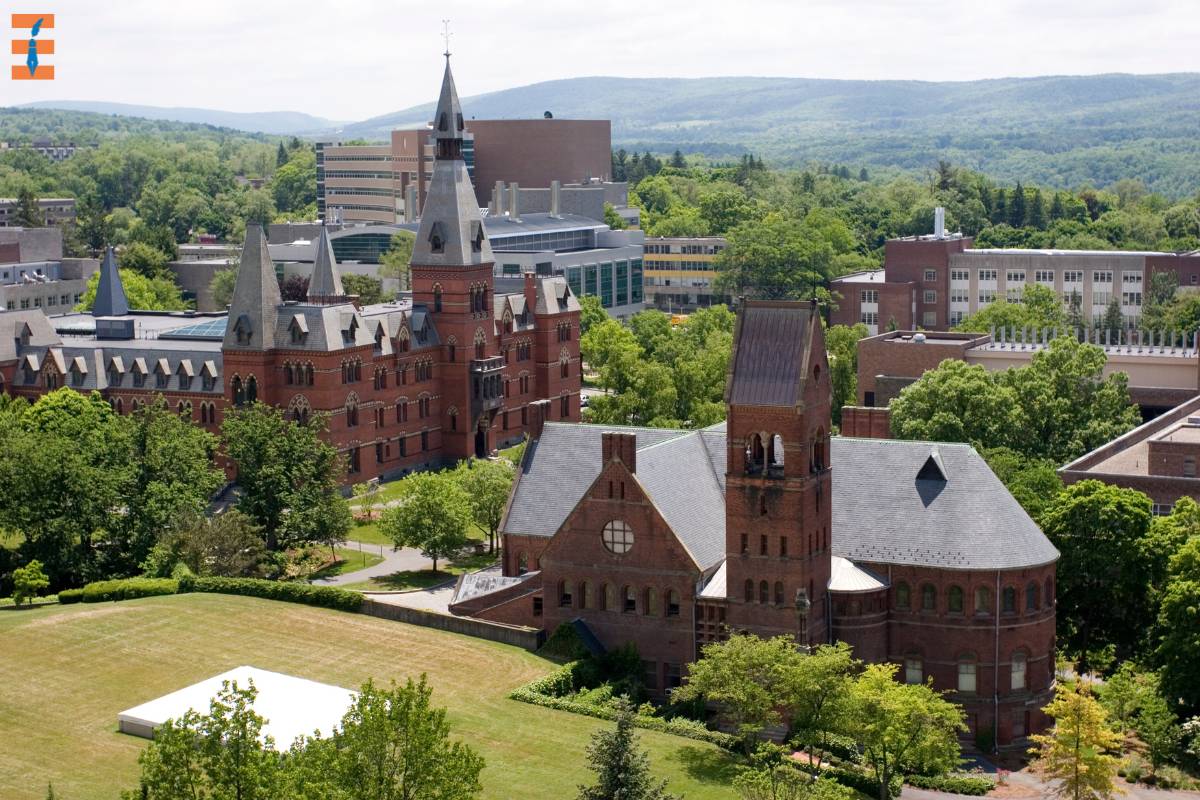 Top 15 Tech Schools That Guarantee Career Success | Future Education Magazine