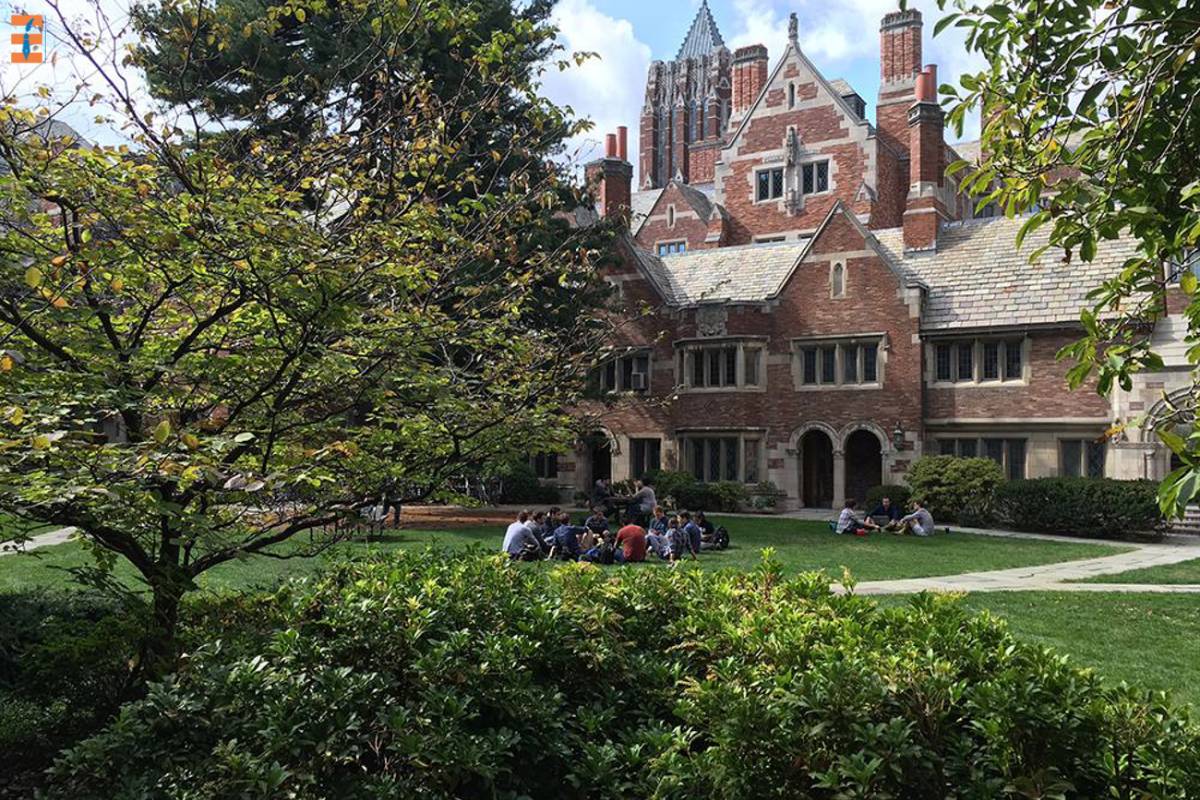 A Guide To Ivy League Schools | Future Education Magazine
