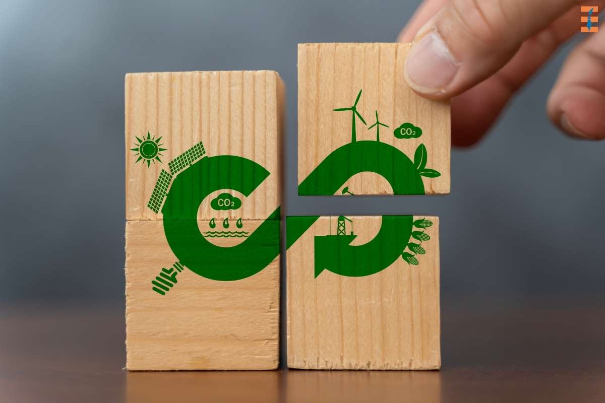 Eco-tourism: Antidote To Tourism-induced Pollution? | Future Education Magazine