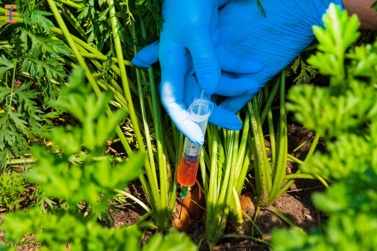 5 Benefits of Transgenic Organisms | Future Education Magazine