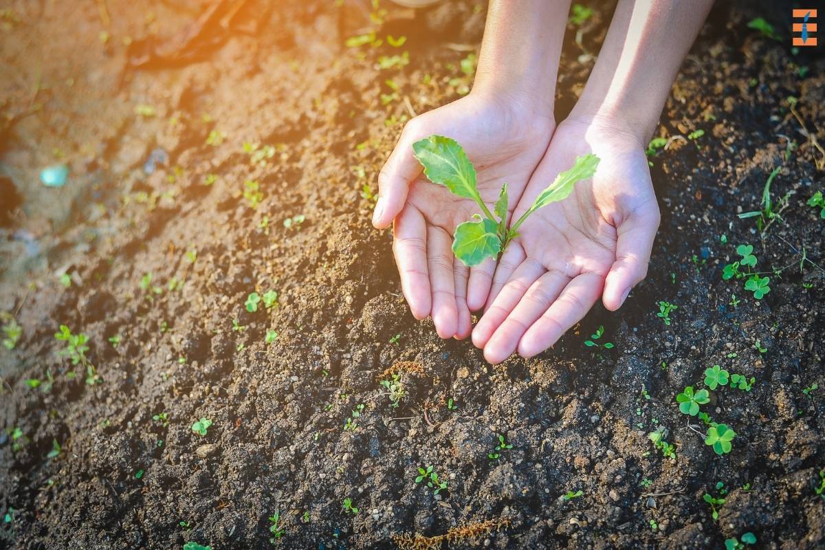 25 Intrinsic Motivation Examples to Embrace in 2024 | Future Education Magazine