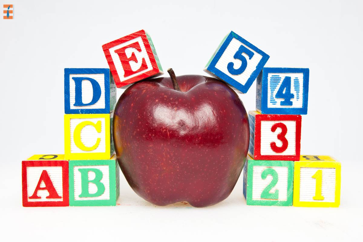 What Is Early Childhood Education (ECE)? Important Things You Should Know | Future Education Magazine