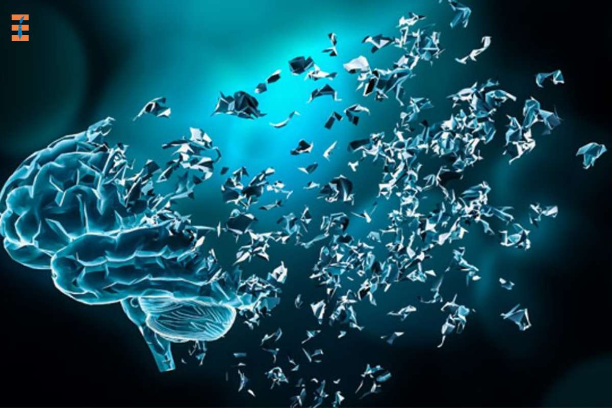 Brain Damage: Causes, Effects, Treatment And Traumatic Brain Injury | Future Education Magazine