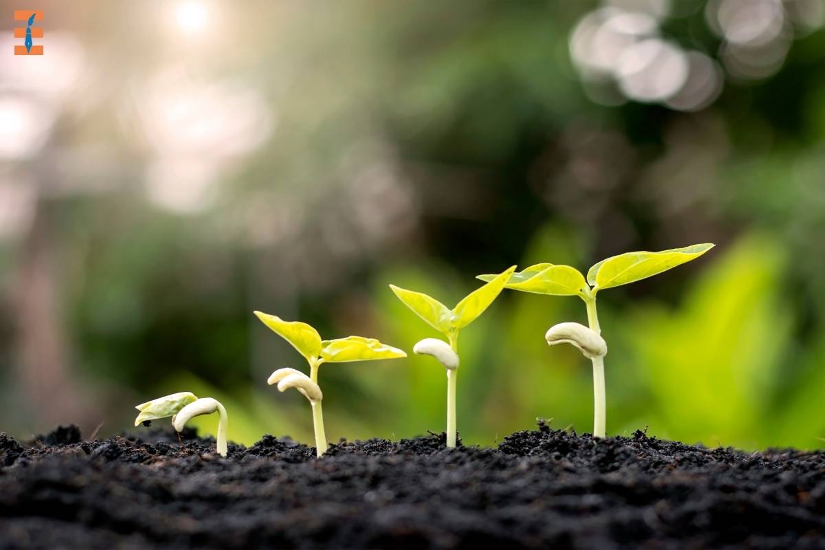 Top 5 Principles of Environmental Stewardship | Future Education Magazine