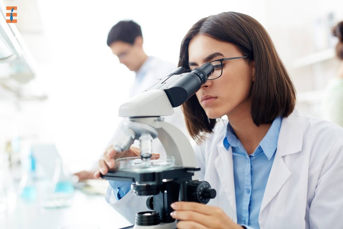 Exploring Scholarships for STEM Students: 6 Main Types | Future Education Magazine