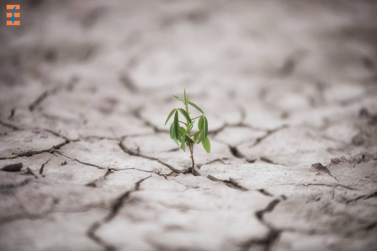 Top 5 Principles of Environmental Stewardship | Future Education Magazine