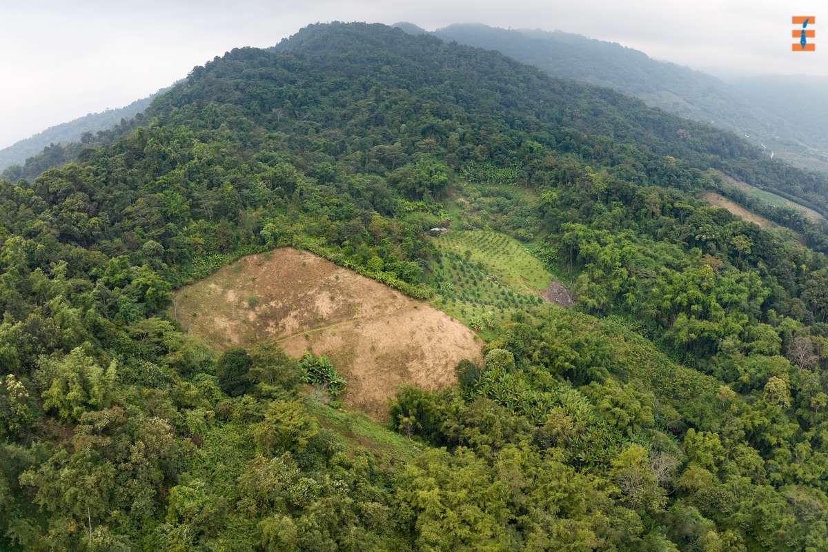 Top 12 Examples Of The Climate Paradigm Shift | Future Education Magazine