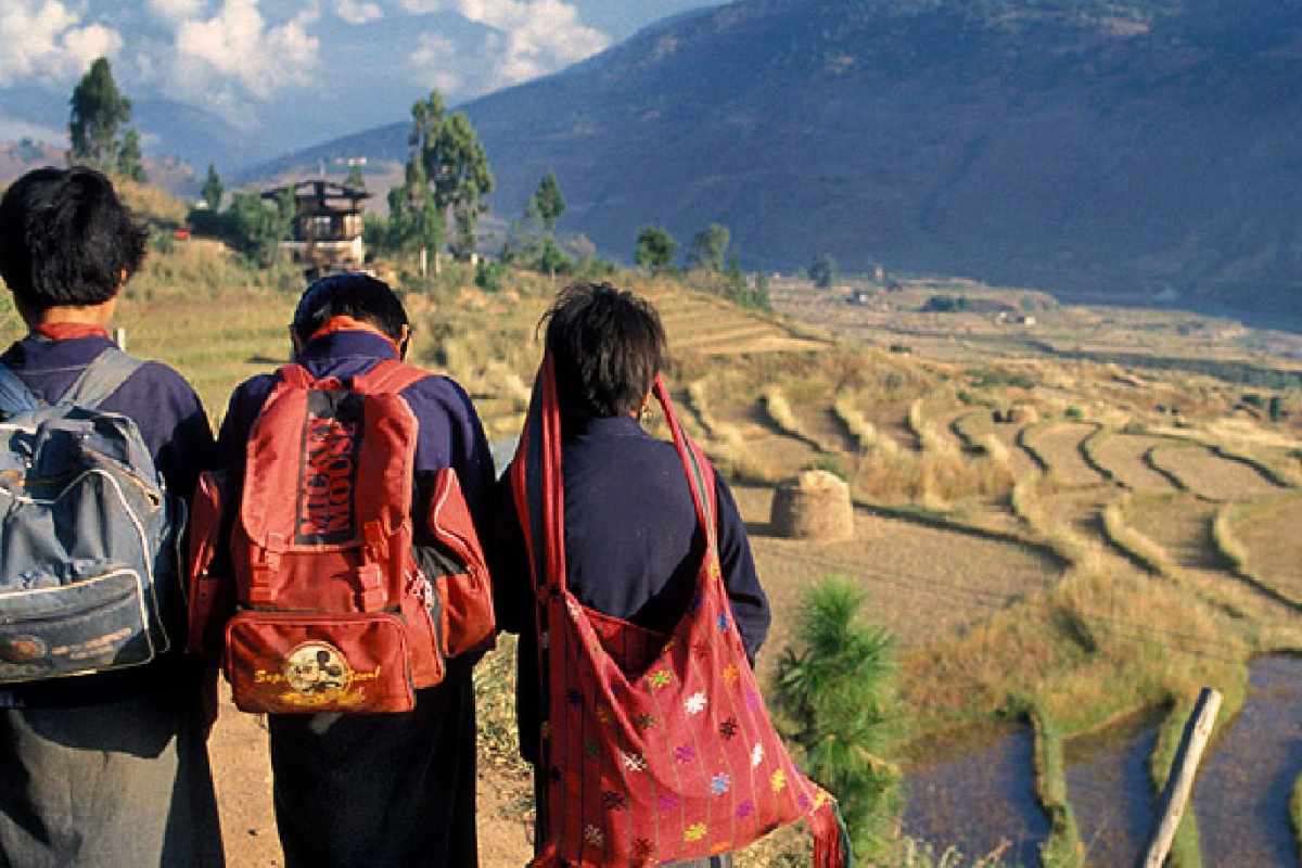 Education's Critical Role in Combating Climate Change